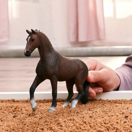 Schleich Dutch Warmblood Gelding figure being held in a play scene with wood chip bedding