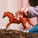 Schleich English Thoroughbred Stallion figure standing on bark beside a hand