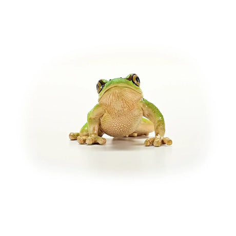 A front view of a green tree frog figurine with a rounded belly, splayed front legs, and wide set eyes.
