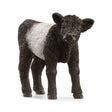 Schleich Galloway Calf toy figure with curly black and white coat, Ireland model: 13969