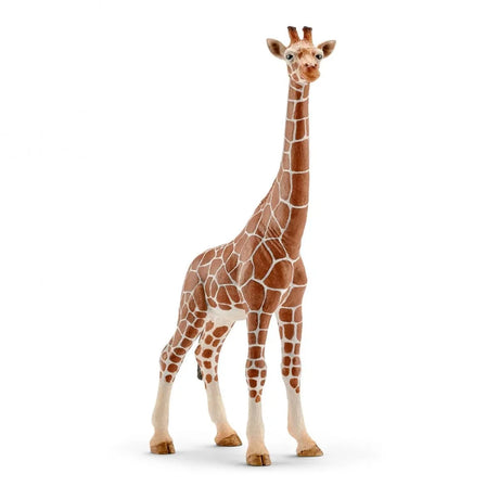 Schleich Giraffe Female figure standing with its long neck upright and brown patterned coat visible
