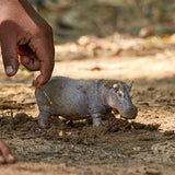 Schleich hippopotamus figure partly covered in soil with a hand beside it.
