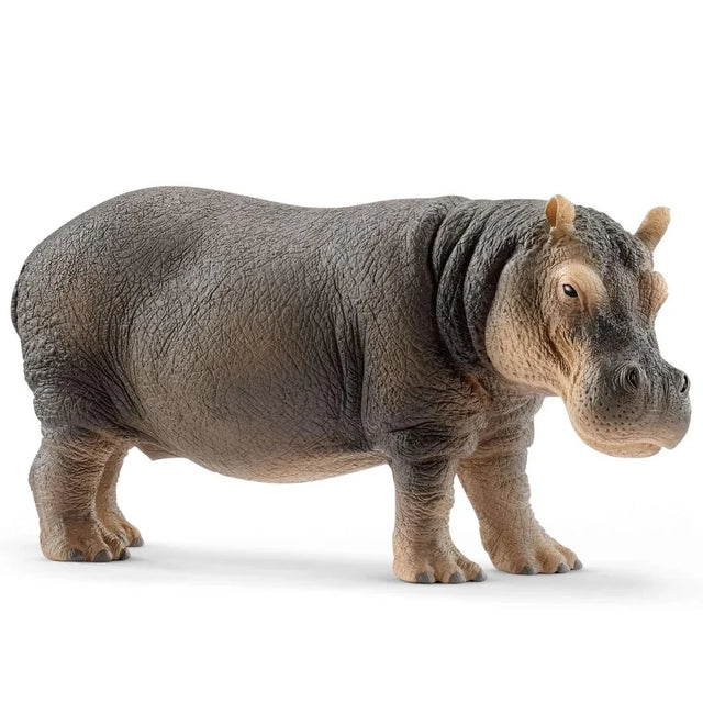 Hand painted Schleich hippopotamus figure standing on a white background with natural body detail.