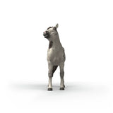 Schleich Knabstrupper Gelding figure shown from the front