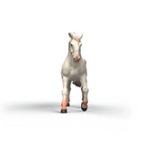 Schleich Knabstrupper Mare figure shown from the front with white mane and spotted face