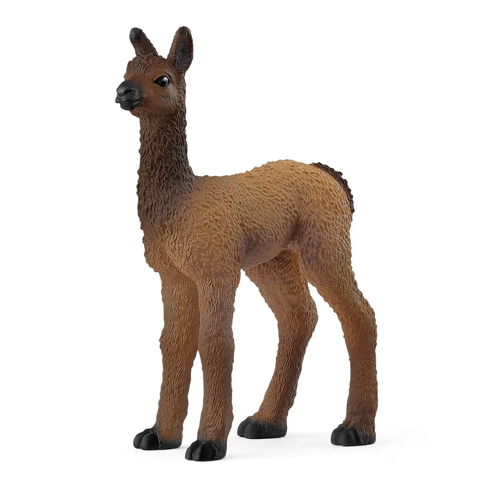 Schleich llama foal model in a forward facing pose with detailed fur texture and dark facial markings.