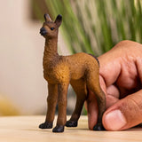 Schleich llama foal figure being held on a tabletop, showing its curly brown coat and dark pointed ears.