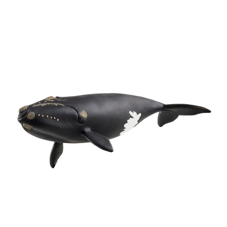Side view of the Schleich North Atlantic Right Whale figure showing its textured head markings, front flippers and white patch near the tail