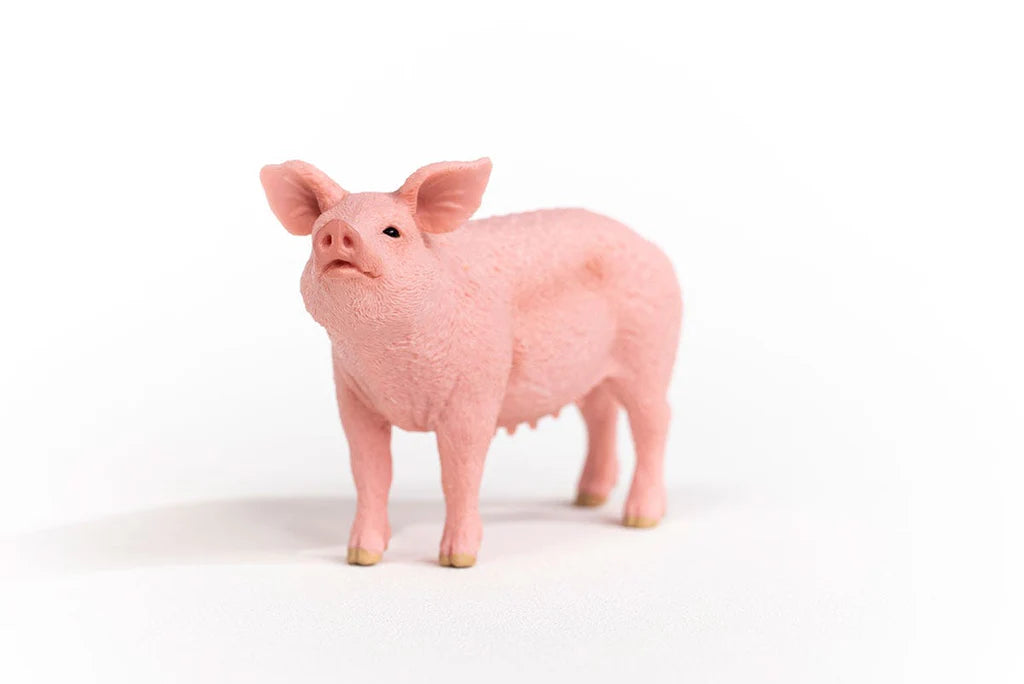 Schleich Pig figure facing forward with its snout raised and ears spread apart.