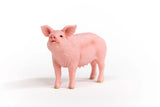 Schleich Pig figure facing forward with its snout raised and ears spread apart.