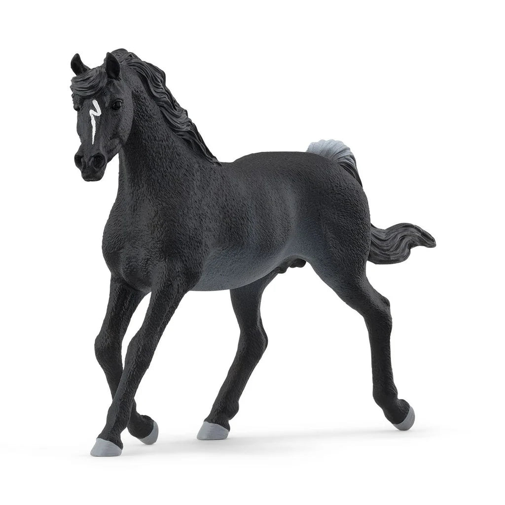 Schleich Rabicano Arabian Stallion figure with a black coat, white forehead marking, flowing mane and raised legs.