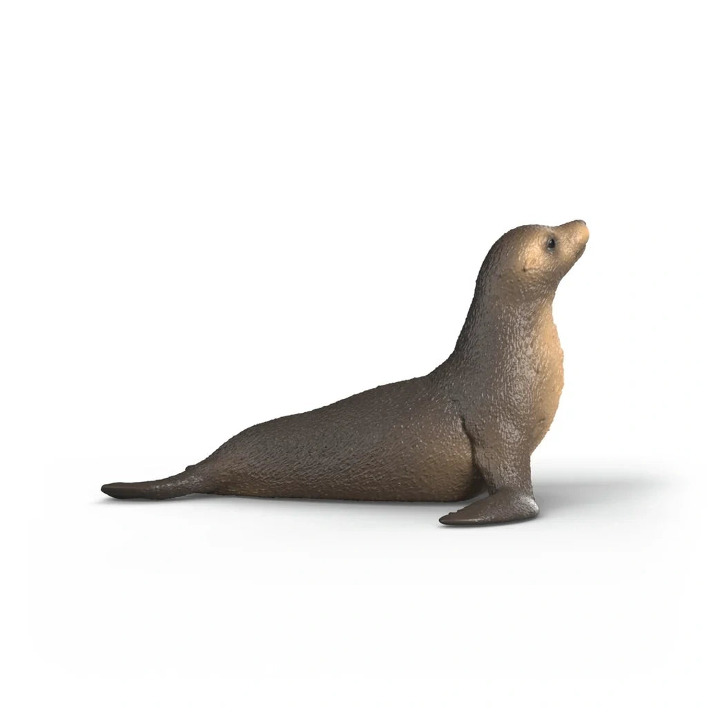 Right side view of the Schleich Sea Lion figure showing its raised head, curved body and front flipper