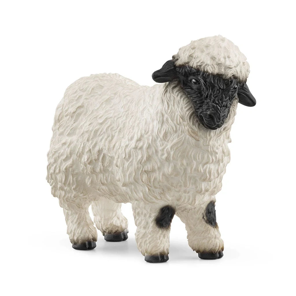 Schleich Valais Blacknose Sheep figure with thick curly white fleece, a black face, black ears and dark hooves