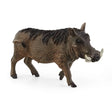 Schleich Warthog animal toy for children Ireland model 14843