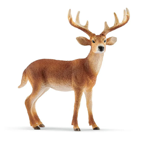 Schleich White Tailed Buck animal toy for children Ireland model 14818
