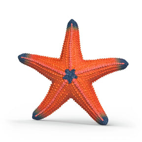 Schleich WILD LIFE Starfish 14902 orange front view with dark blue tips