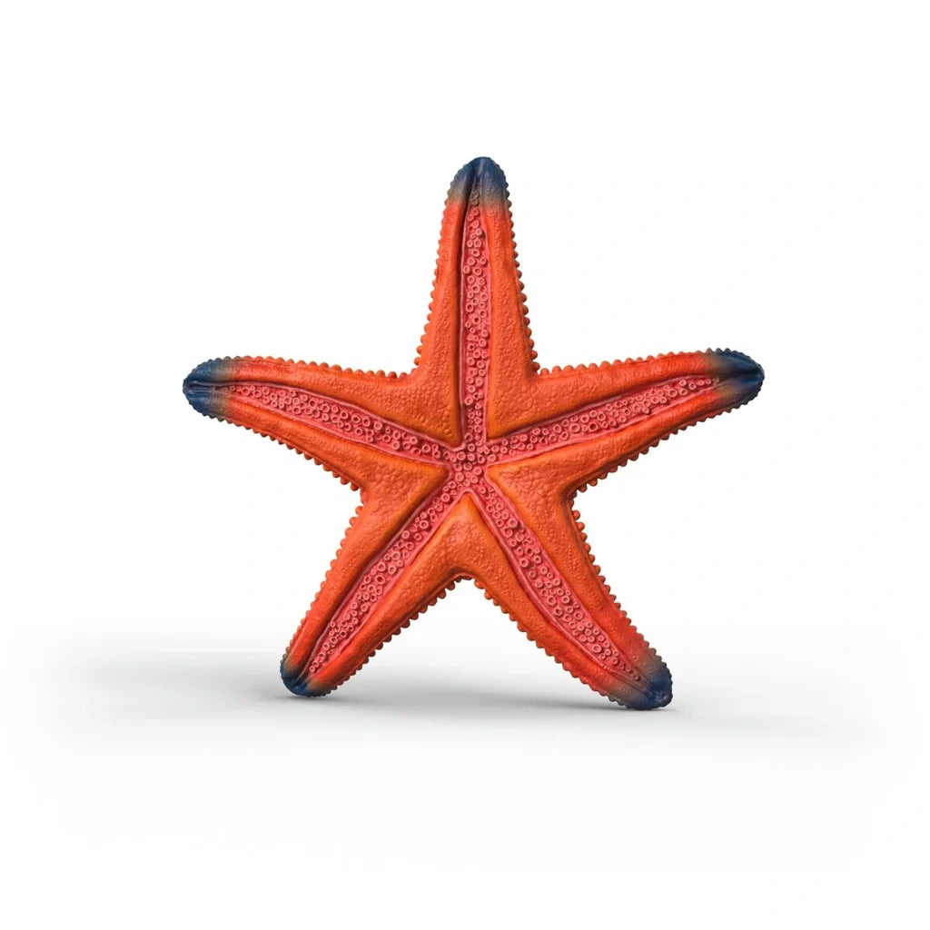 Schleich WILD LIFE Starfish 14902 orange underside with dark blue tips