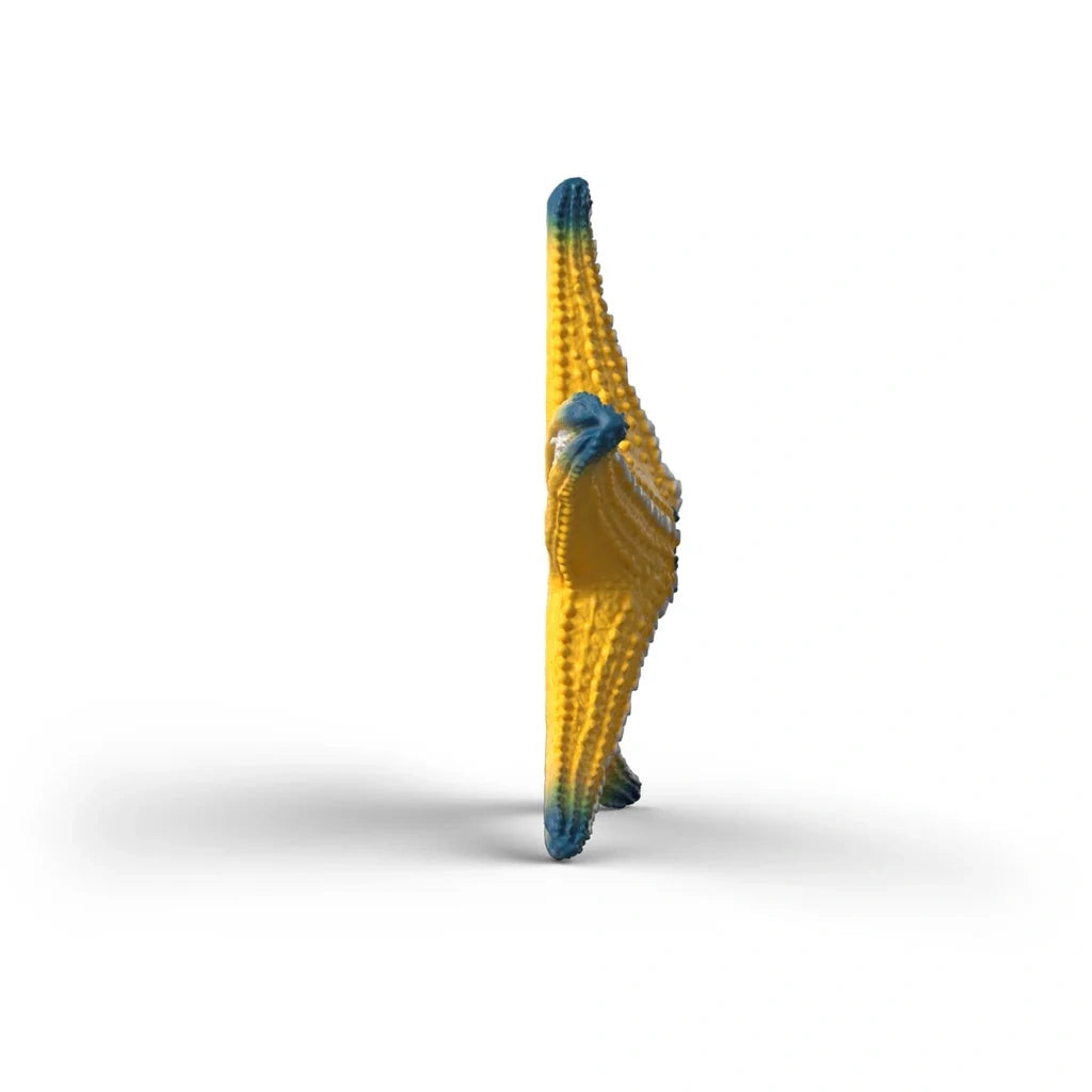 Schleich WILD LIFE Starfish 14902 yellow right side view after colour change