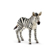 Schleich Zebra Foal figure with black and white stripes, upright ears, a dark muzzle and striped legs.