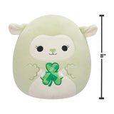 Squishmallows Clove the green lamb plush with 8 inch size guide