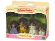 Sylvanian Families Hedgehog Family retail packaging with four Bramble figures displayed in Ireland
