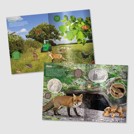 Tractor Ted Fantastic Farm Sticker Book interior pages featuring hedgerow wildlife, foxes, rabbits, birds, butterflies and underground animal burrows.