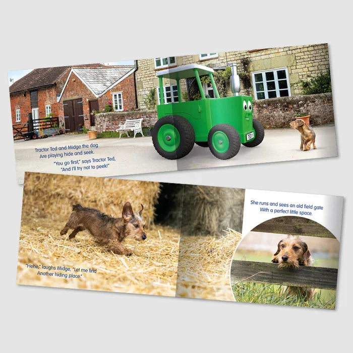Open inside pages of Tractor Ted Hide and Seek Storybook showing farmyard scene with Tractor Ted and Midge hiding among animals