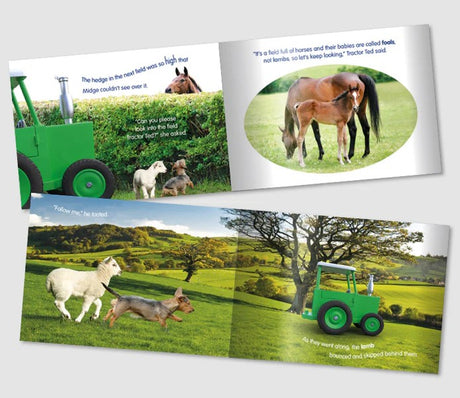 Inside pages of Tractor Ted Little Lost Lamb Storybook with Tractor Ted, Midge, and animals – Ireland