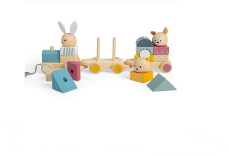 BigJigs Activity Pull Along Train