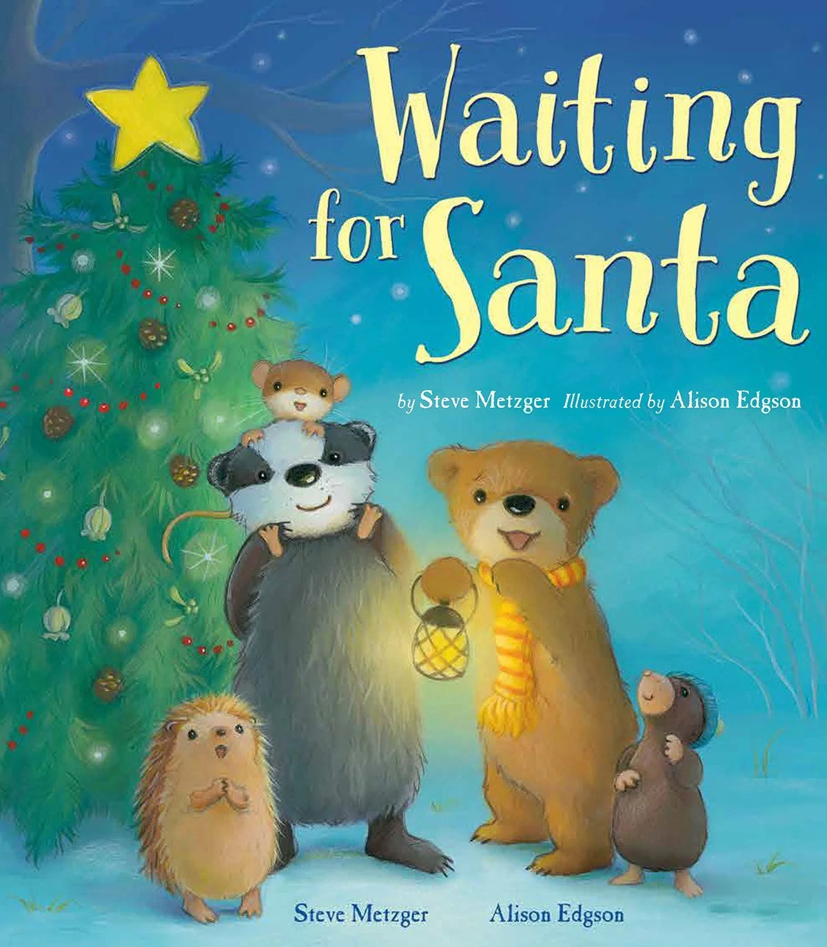 Waiting for Santa picture book cover by Steve Metzger and Alison Edgson in Ireland