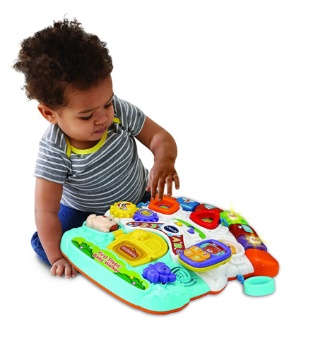 Vtech First Steps Baby Walker