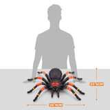 Zuru Robo Alive Giant Tarantula dimensions graphic showing 38.5 cm by 35.5 cm