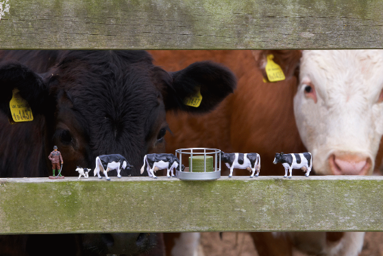 Britains Cattle Feeder Set